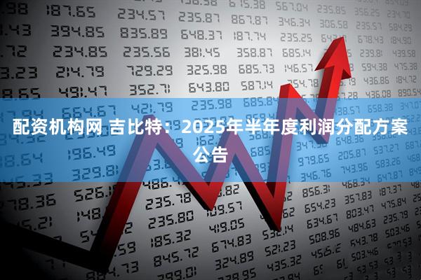 配资机构网 吉比特：2025年半年度利润分配方案公告